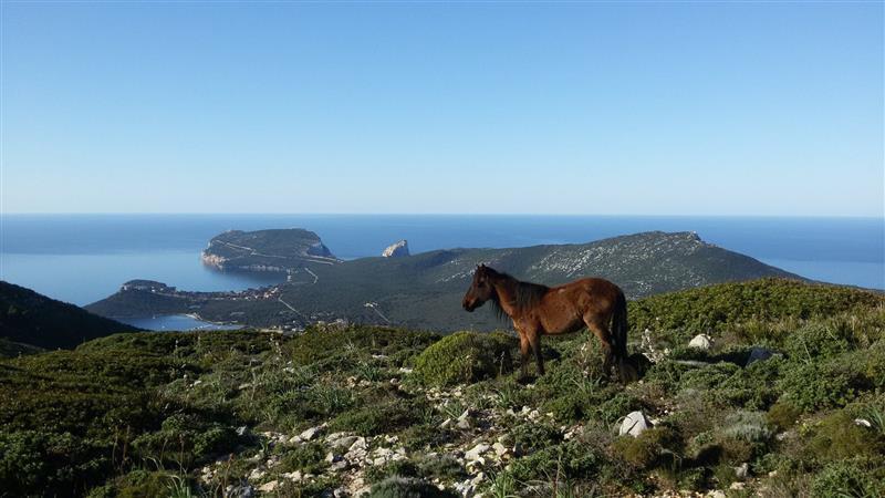 سانتا ماريا لا بالما Rita B&B Sea Sun And Nature المظهر الخارجي الصورة