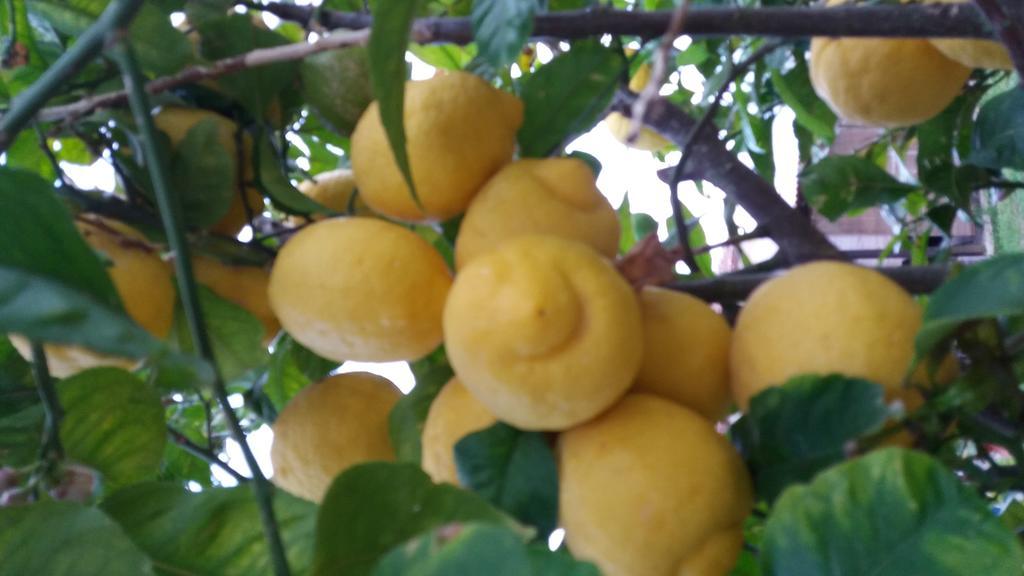 سانتا ماريا لا بالما Rita B&B Sea Sun And Nature المظهر الخارجي الصورة